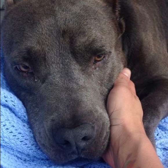 Meet Your Posher, Sara! - Picture 4 of 4