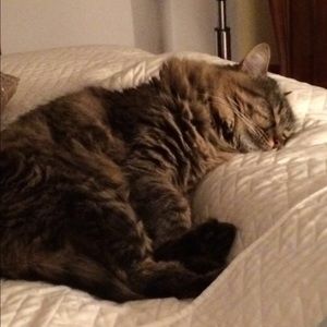 Meet your Posher, Arantza