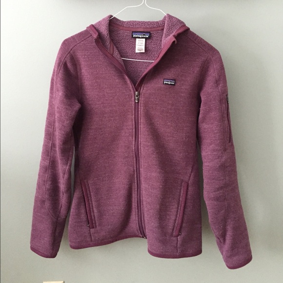 Patagonia Better Sweater Hoodie