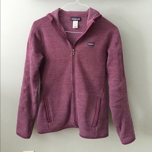 Patagonia Better Sweater Hoodie