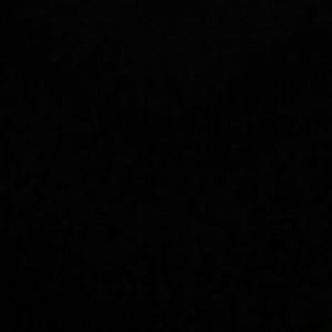 Meet your Posher, Cora