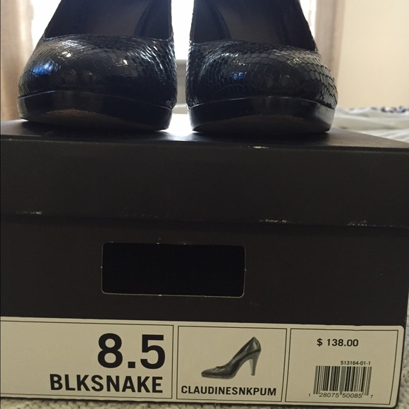 Black /Snake
