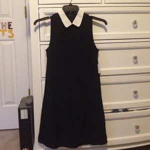 🎃BRAND NEW Peter Pan collar dress