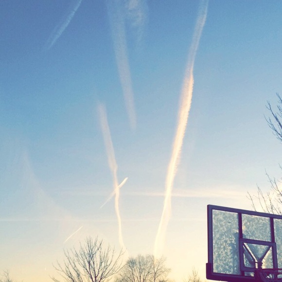 Meet your Posher, Karli - Picture 1 of 1