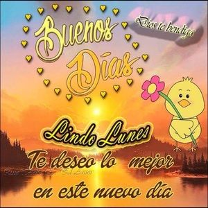 Meet your Posher, Yolanda