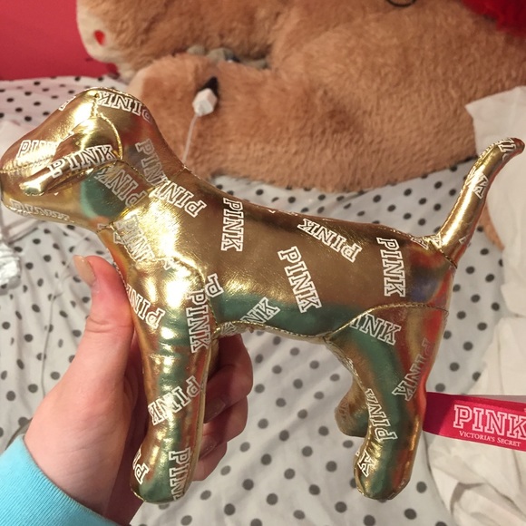 pink Victoria's Secret dog