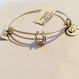 NWT Alex and Ani bangle