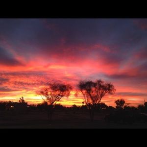 Meet your Posher, Iris