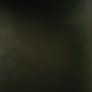 Meet your Posher, Lela