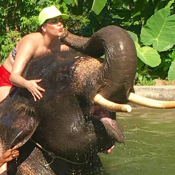 Meet your Posher, Daniela - Picture 1 of 1