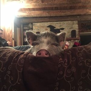 Meet your Posher, Lindsey