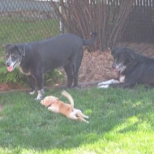 Meet your Posher, Kate