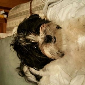 Meet your Posher, Mojica