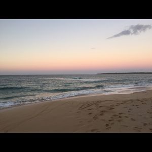 Meet your Posher, Yali