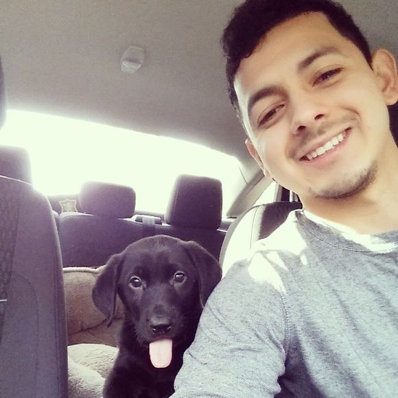 Meet your Posher, Rafael - Picture 1 of 1