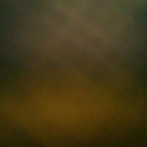 Meet your Posher, Devon