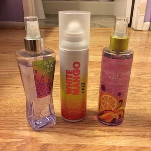 Bath and Body Works Bundle!
