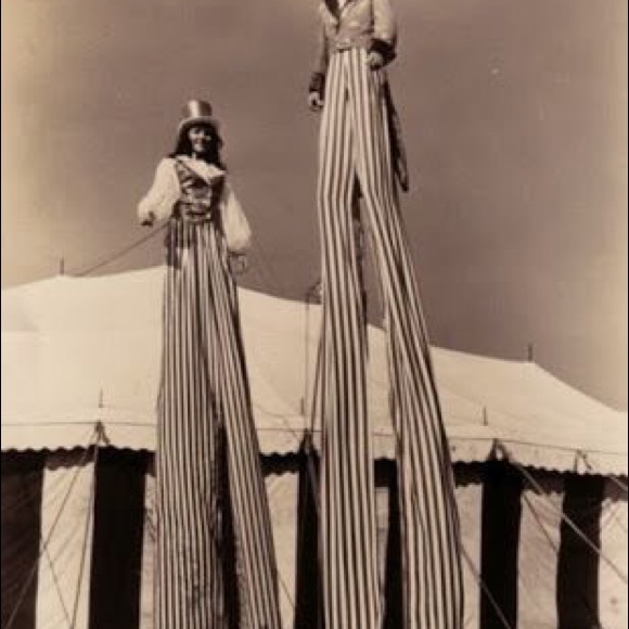 Meet your Posher, Joy - Picture 2 of 6