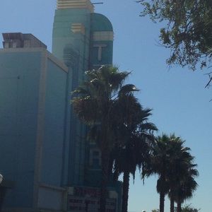 Meet your Posher, Marley