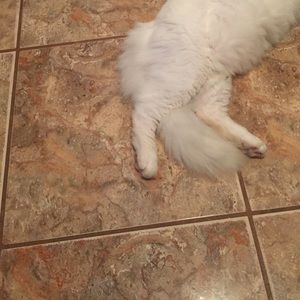 Meet your Posher, Gretchen