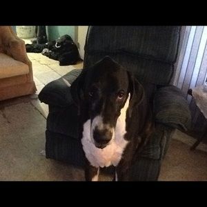 Meet your Posher, Beth