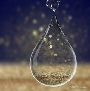 Meet your Posher, Chelsea