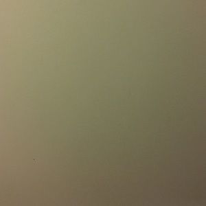 Meet your Posher, Staci