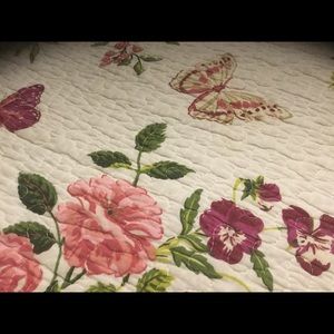 Meet your Posher, Lily