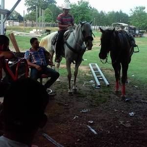 Meet your Posher, Lupe