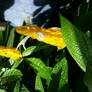 Meet your Posher, Zach