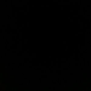 Meet your Posher, Benjamin