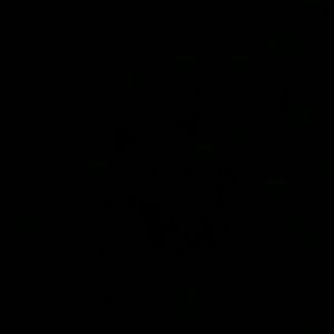 Meet your Posher, Josue