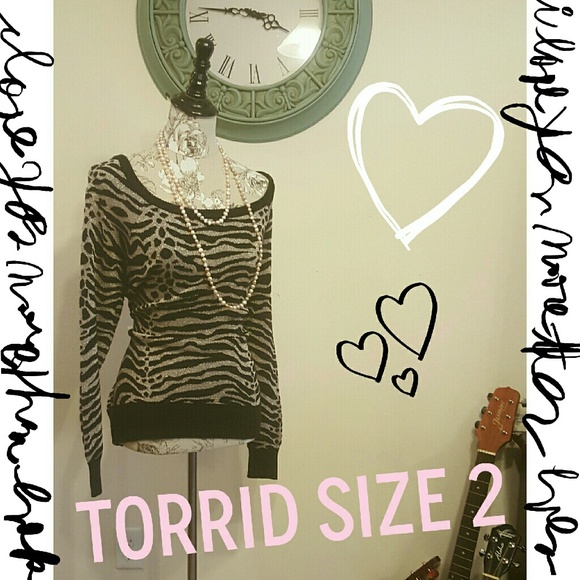 Torrid Knit Sweater