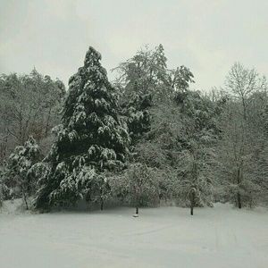 Meet your Posher, Shanda