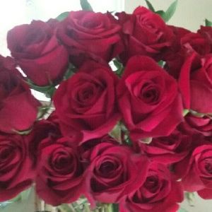 Meet your Posher, Christine