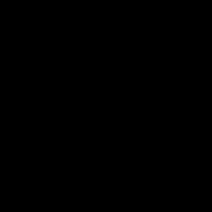 Meet your Posher, Mitzi