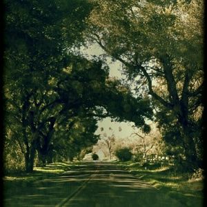 Meet your Posher, Shayna