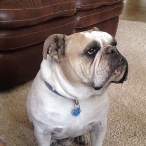 Meet your Posher, Val