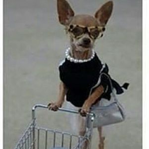 Meet your Posher, Diana