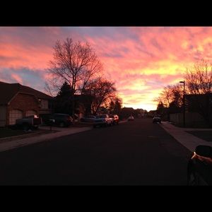 Meet your Posher, Morgan