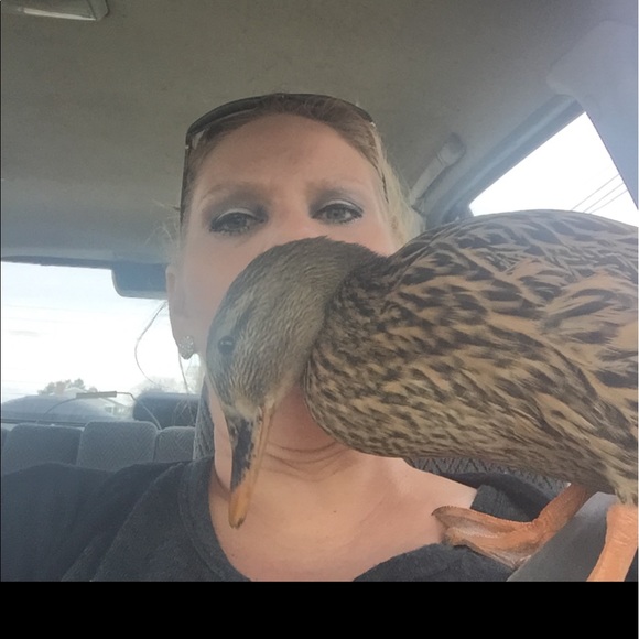 Meet your Posher, Michelle - Picture 3 of 3