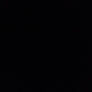 Meet your Posher, Emalee