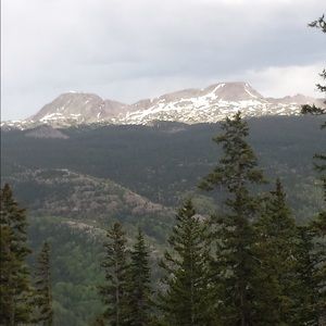 Meet your Posher, Baylie