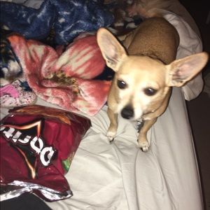 Meet your Posher, Chris