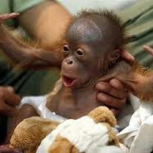 Meet your Posher, Becky