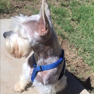 Meet your Posher, Ruth