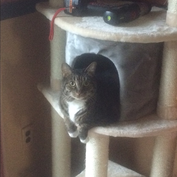 Meet your Posher, Scott - Picture 1 of 1