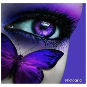 Meet your Posher, Robin