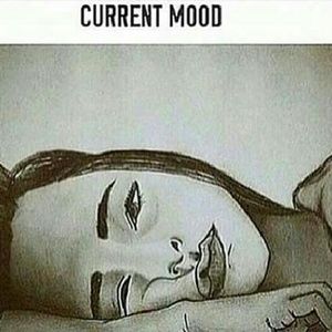 Meet your Posher, Lineek