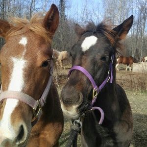 Meet your Posher, Mia